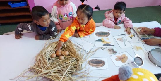 491368190_667878615982725_2333416254240096555_n